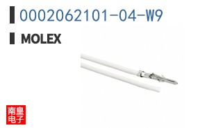0002062101-04-W9
