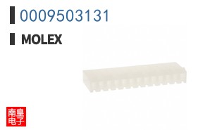0009503131