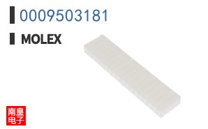0009503181