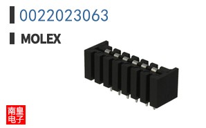 0022023063