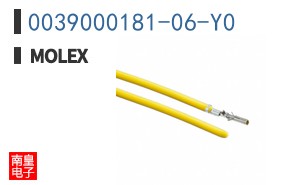 0039000181-06-Y0