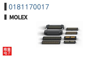 0181170017