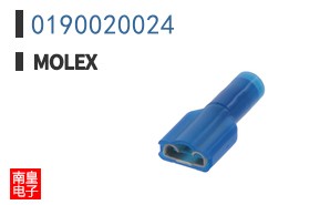 0190020024