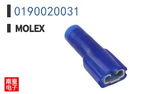 0190020031