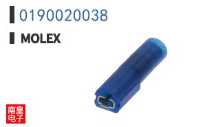 0190020038