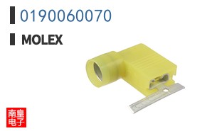 0190060070