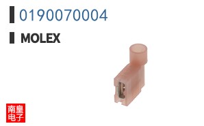 0190070004