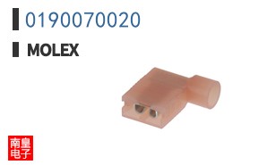 0190070020