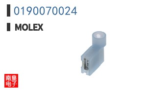 0190070024