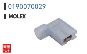 0190070029