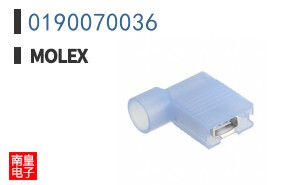 0190070036