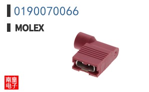 0190070066