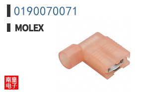 0190070071