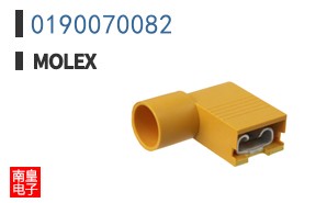 0190070082