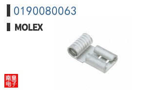 0190080063