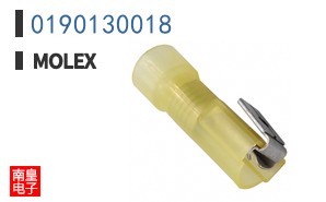 0190130018