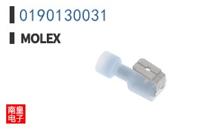 0190130031