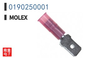 0190250001