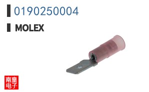 0190250004