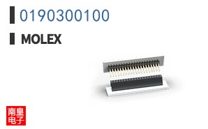 0190300100