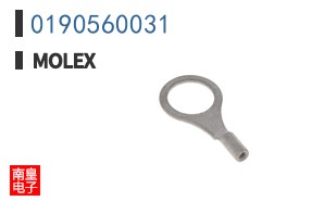 0190560031