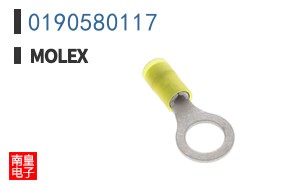 0190580117