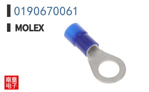 0190670061