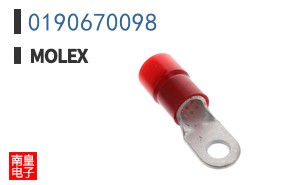 0190670098