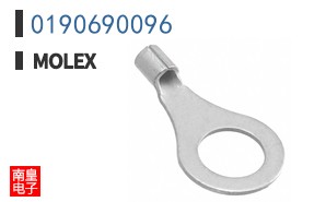 0190690096