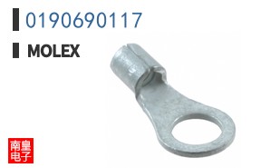 0190690117