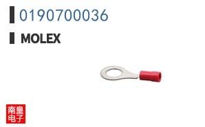 0190700036