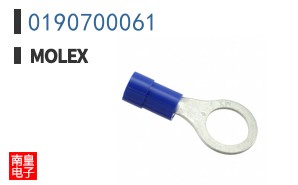 0190700061
