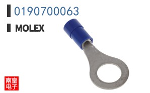 0190700063