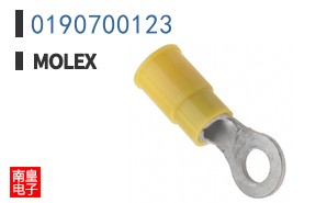 0190700123