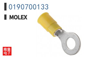 0190700133