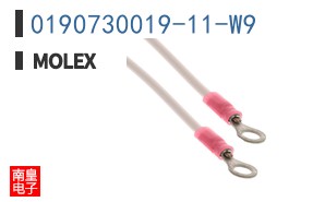 0190730019-11-W9