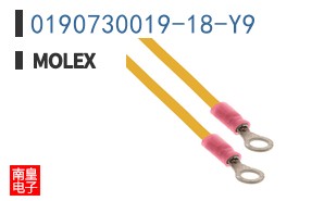 0190730019-18-Y9