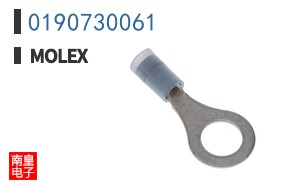 0190730061