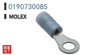 0190730085