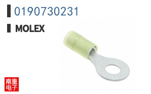0190730231