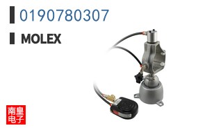 0190780307