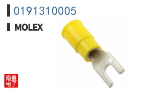 0191310005