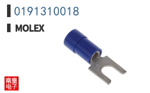 0191310018