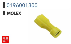 0196001300