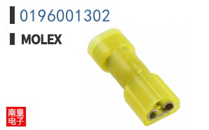 0196001302