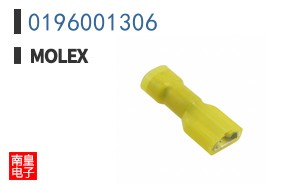 0196001306