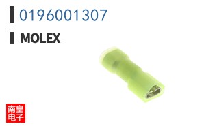 0196001307