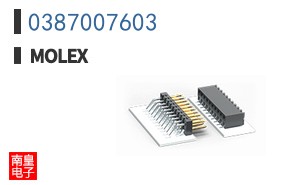 0387007603
