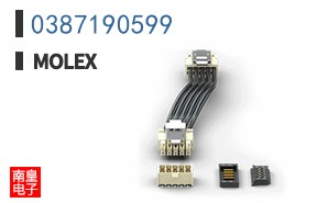 0387190599