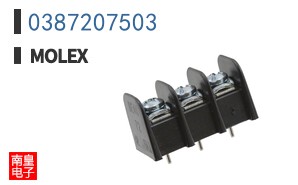 0387207503